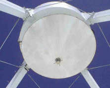 Photo of the diple
     antenna