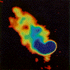 Radio image of Markarian 501